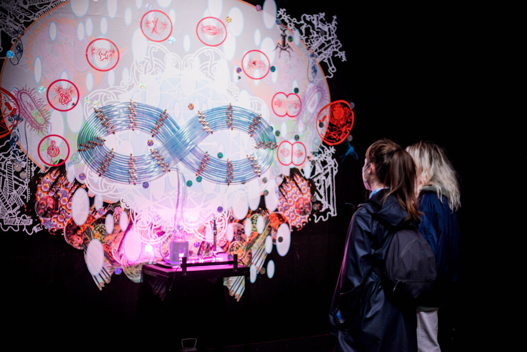 The backs of two people staring at a wall-mounted art installation. Mounted on a black wall is a series of clear tubes in a large figure-eight formation, and underneath them is a wall collage of vinyl decals. The pink, red, and white decals show different stages of cell mitosis.