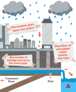 cartoon infographic of rainwater falling on a city, moving through sewer system and into bodies of water