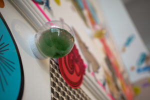 A close up photo of a bubble-shaped glass jar filled with murky green liquid, which is attached to a white wall. The wall is blurry, and covered in colourful paper cutouts.